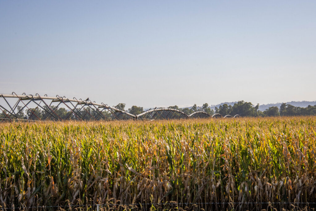 , Lachlan Valley Water