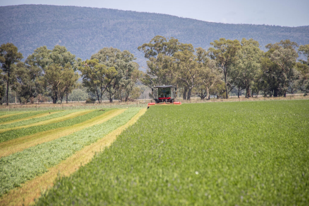 , Lachlan Valley Water