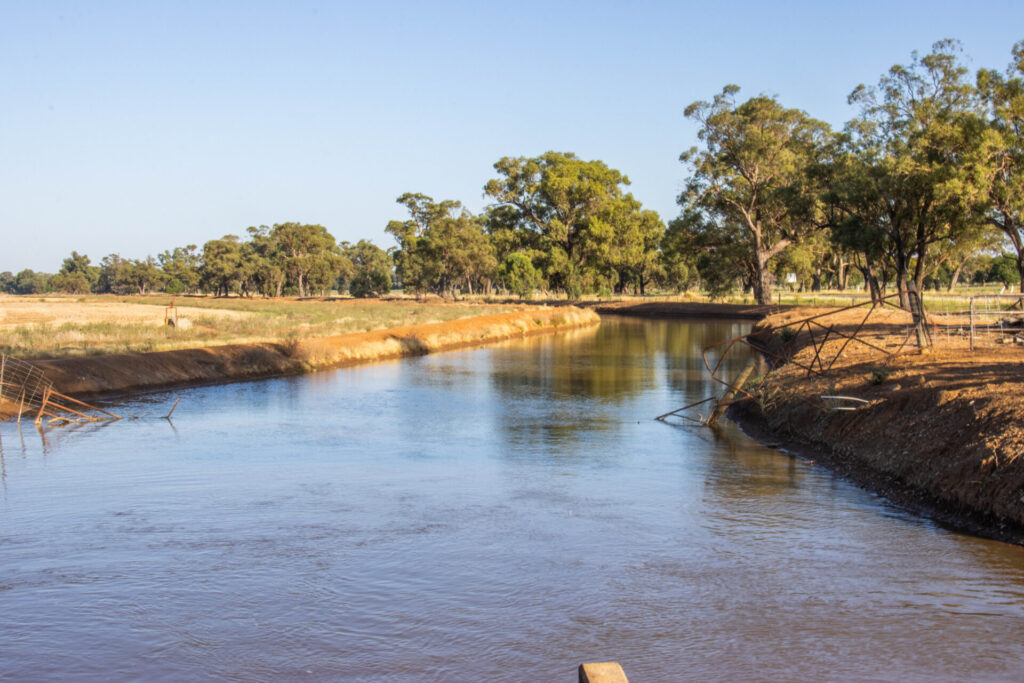 , Lachlan Valley Water